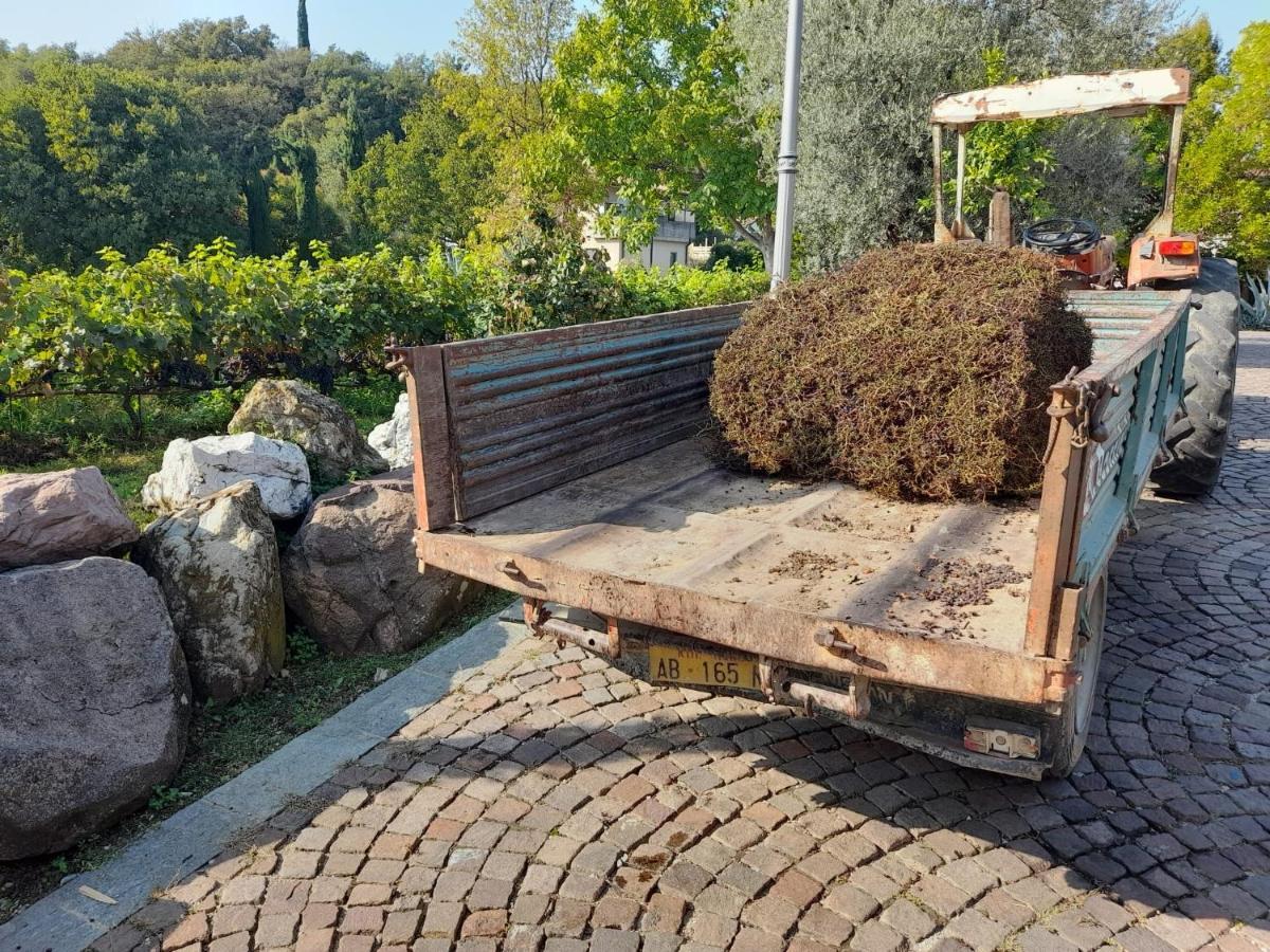 Casa El Paso Apartment Padenghe sul Garda Ngoại thất bức ảnh